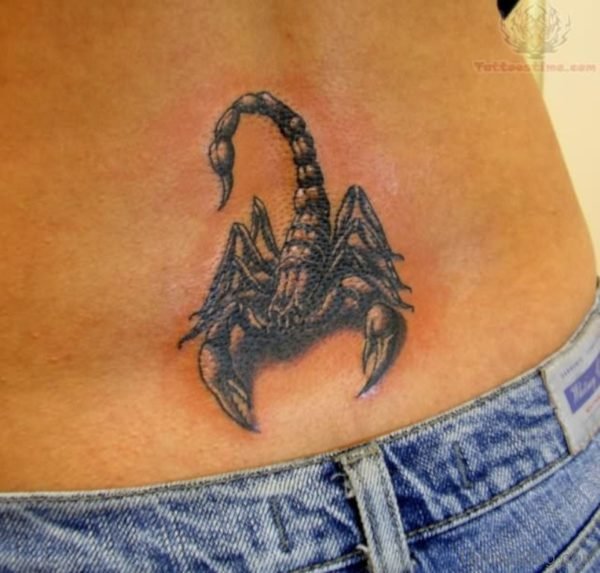85 3D Scorpion Tattoos On Back - Tattoo Designs – 