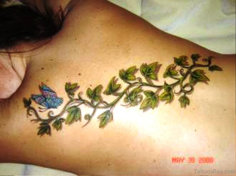 Green Leaves Vine Tattoo On Back.