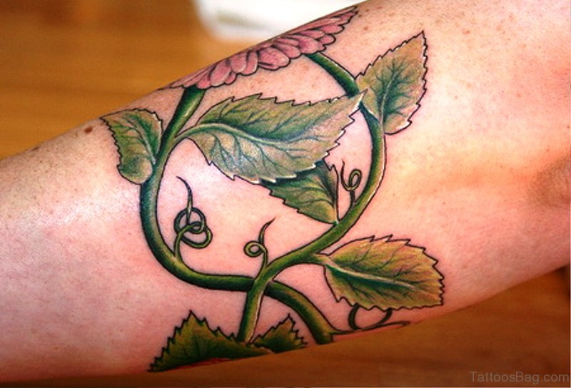 Brilliant Vine Tattoo On Arm.